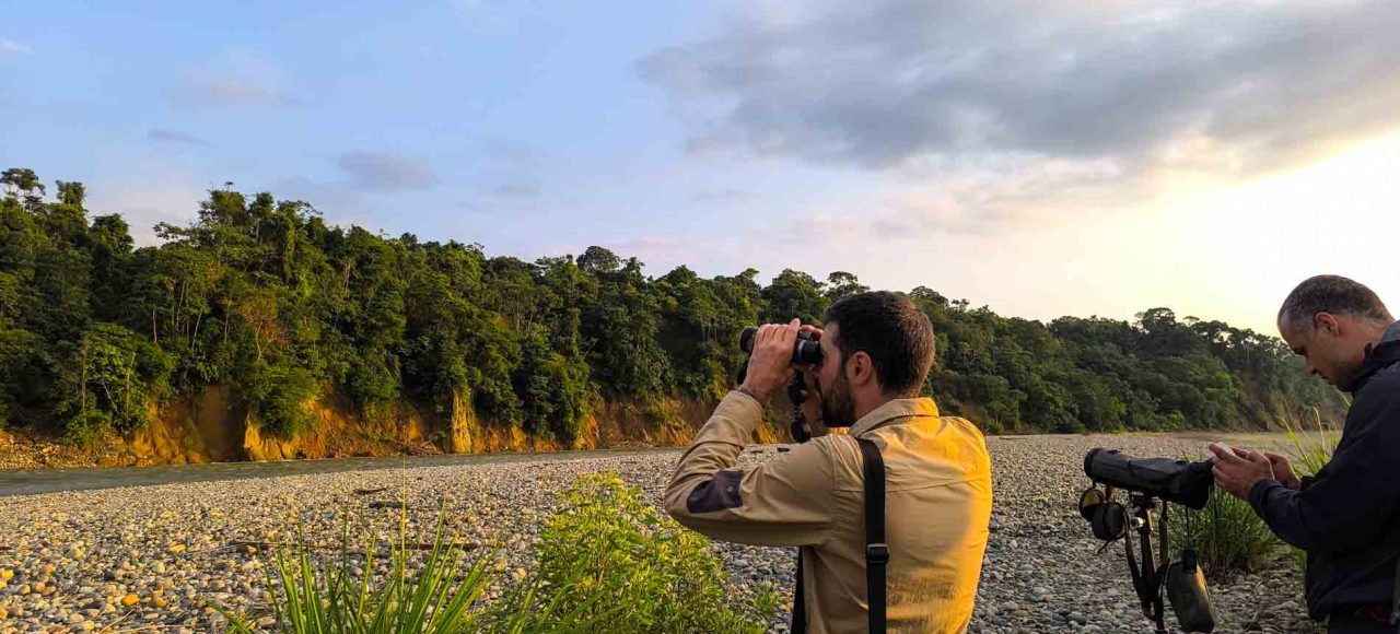 Birding tour in Manu National Park