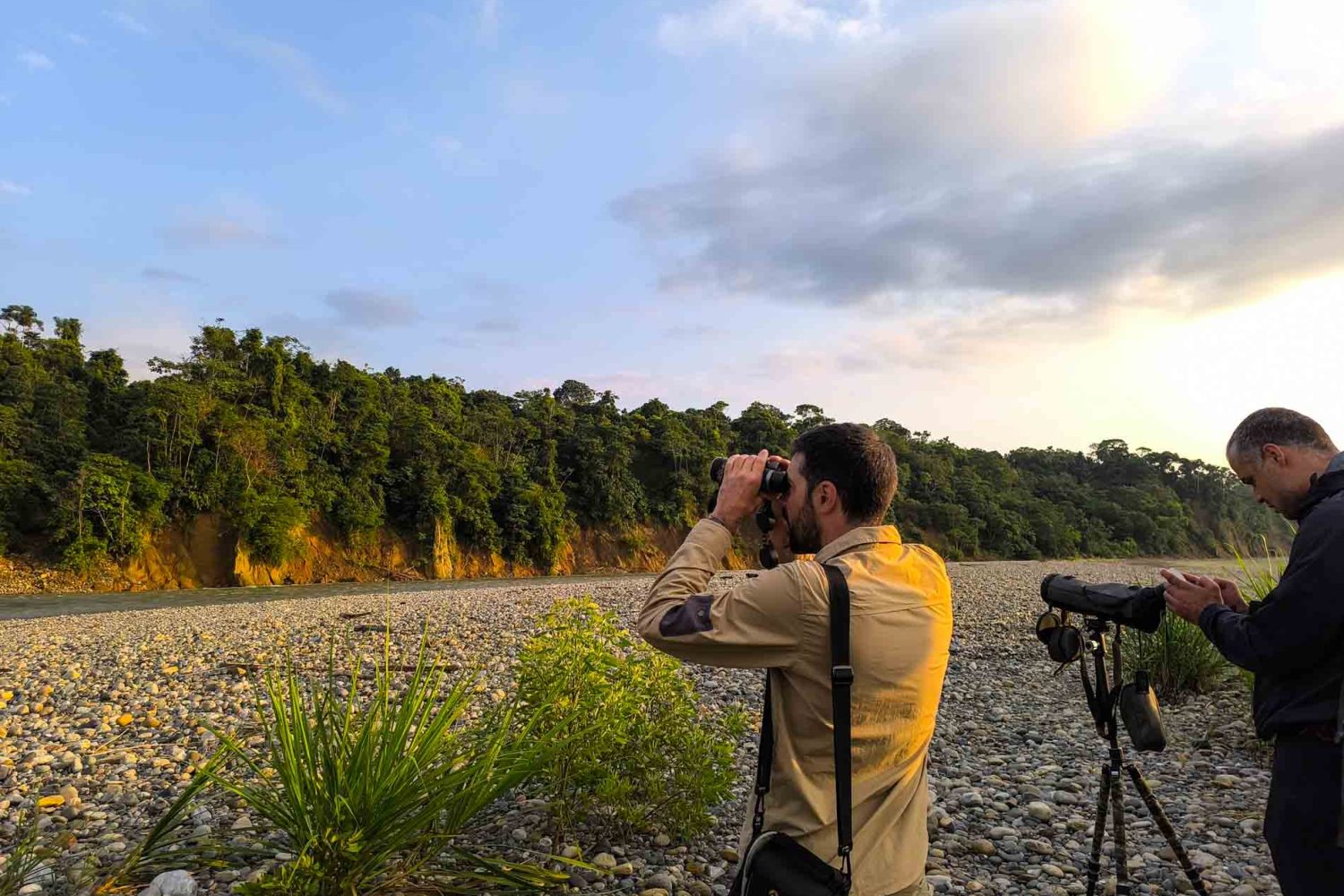 Birding tour in Manu National Park