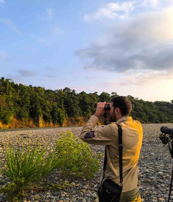 Birding tour in Manu National Park