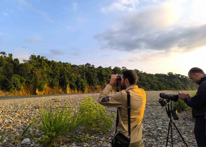 Birding tour in Manu National Park