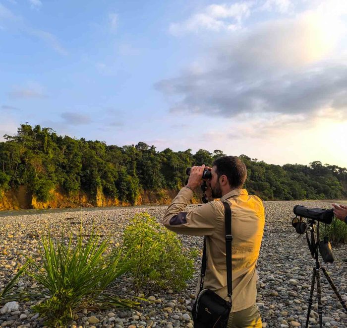 Birding tour in Manu National Park