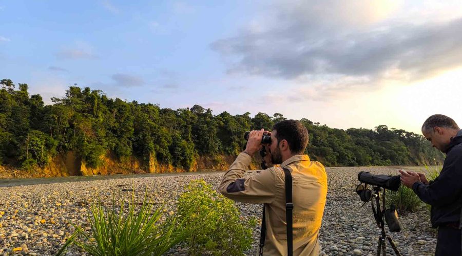 Birding tour in Manu National Park