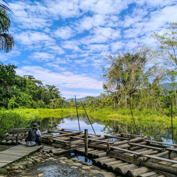 Manu National Park Peru