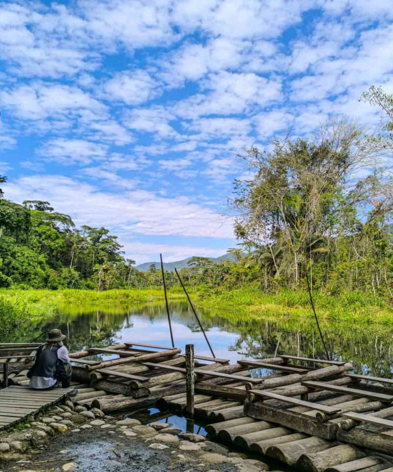 Manu National Park Peru