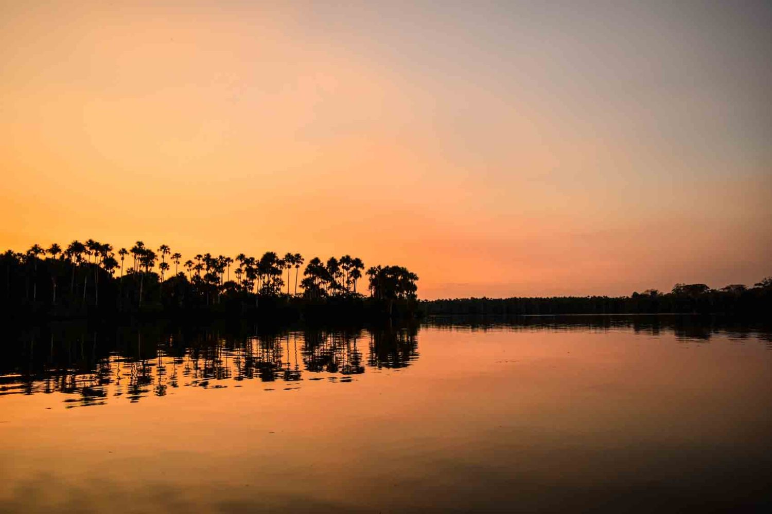 Sunset in Tambopata