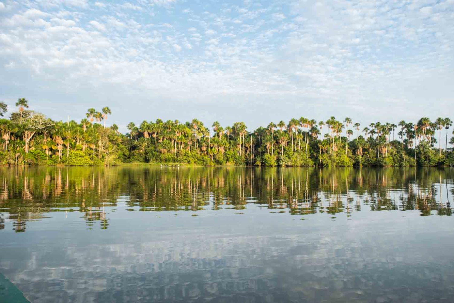 Sandoval Oxbow Lake tambopata