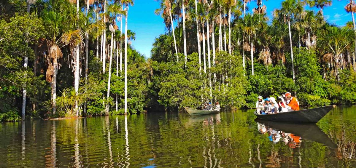 Sandoval Oxbow Lake Tambopata