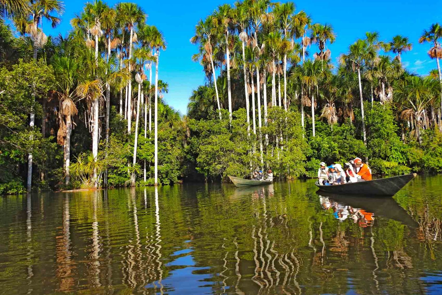 Sandoval Oxbow Lake Tambopata