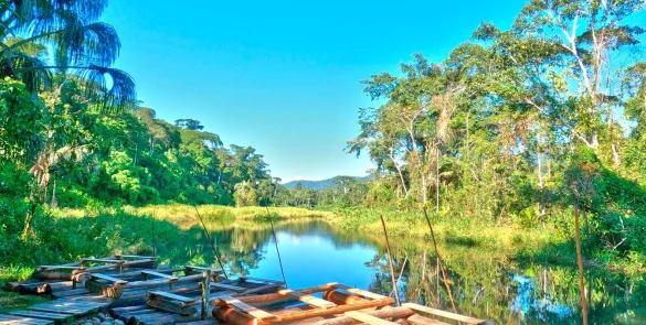 manu tour amazon rainforest