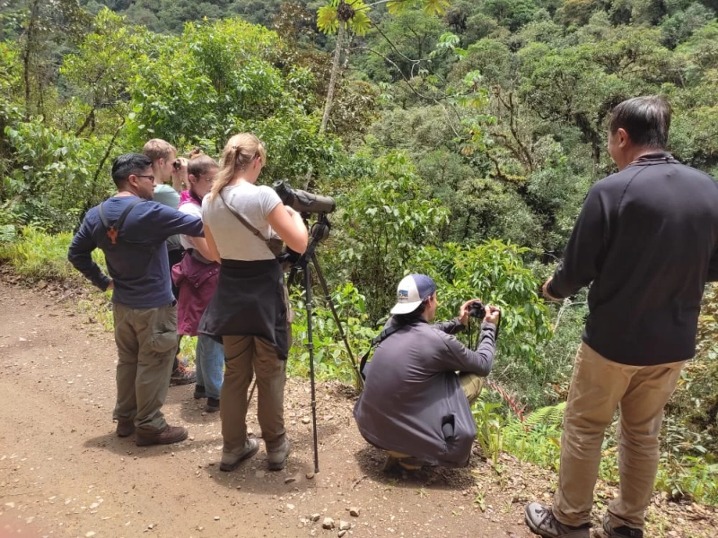 exploring manu road exploring manu road