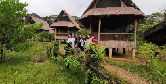 manu wildlife amazon tour