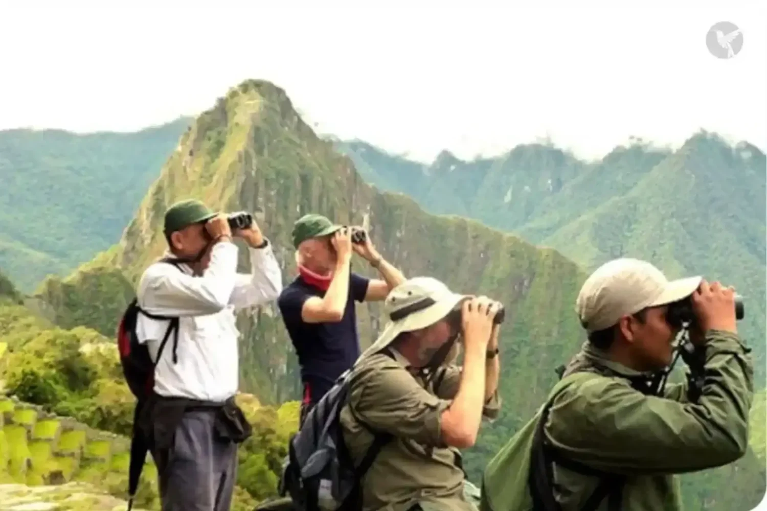 machupicchu-birdwatching-tour