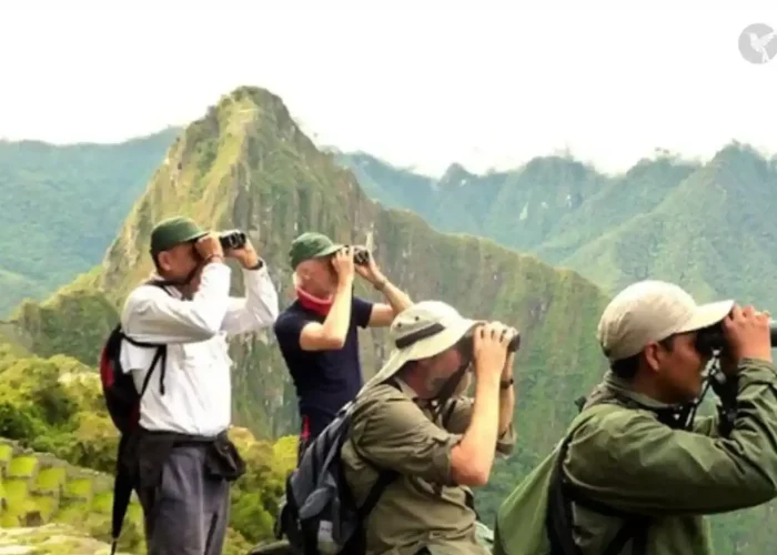 machupicchu-birdwatching-tour