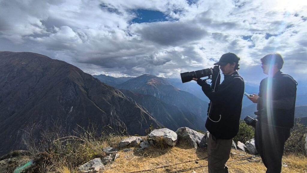 Andean Condor Flight