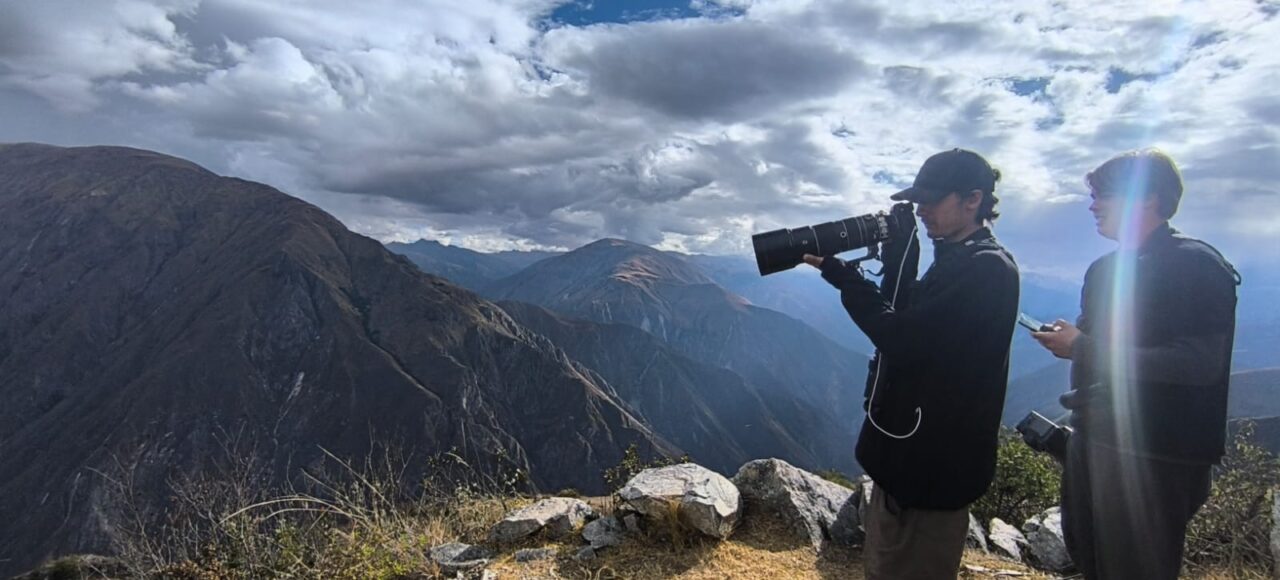 Andean Condor Flight