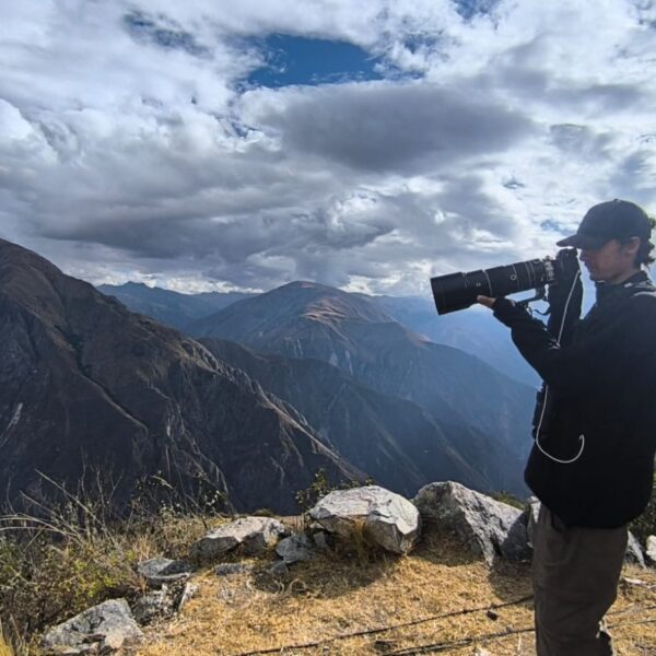 Andean Condor Flight