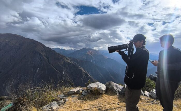 Andean Condor Flight