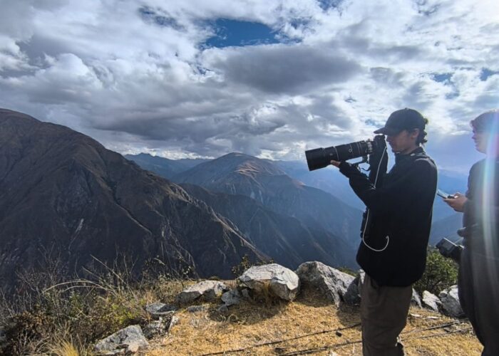 Andean Condor Flight