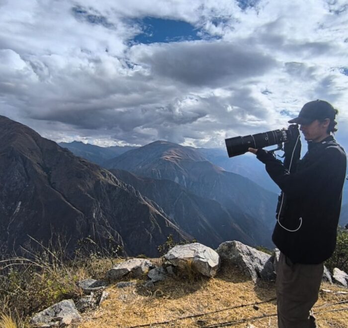 Andean Condor Flight