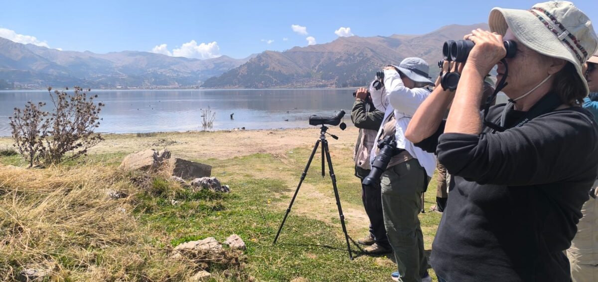 birdwatching in cusco