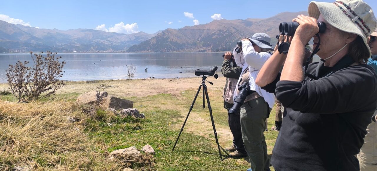 birdwatching in cusco
