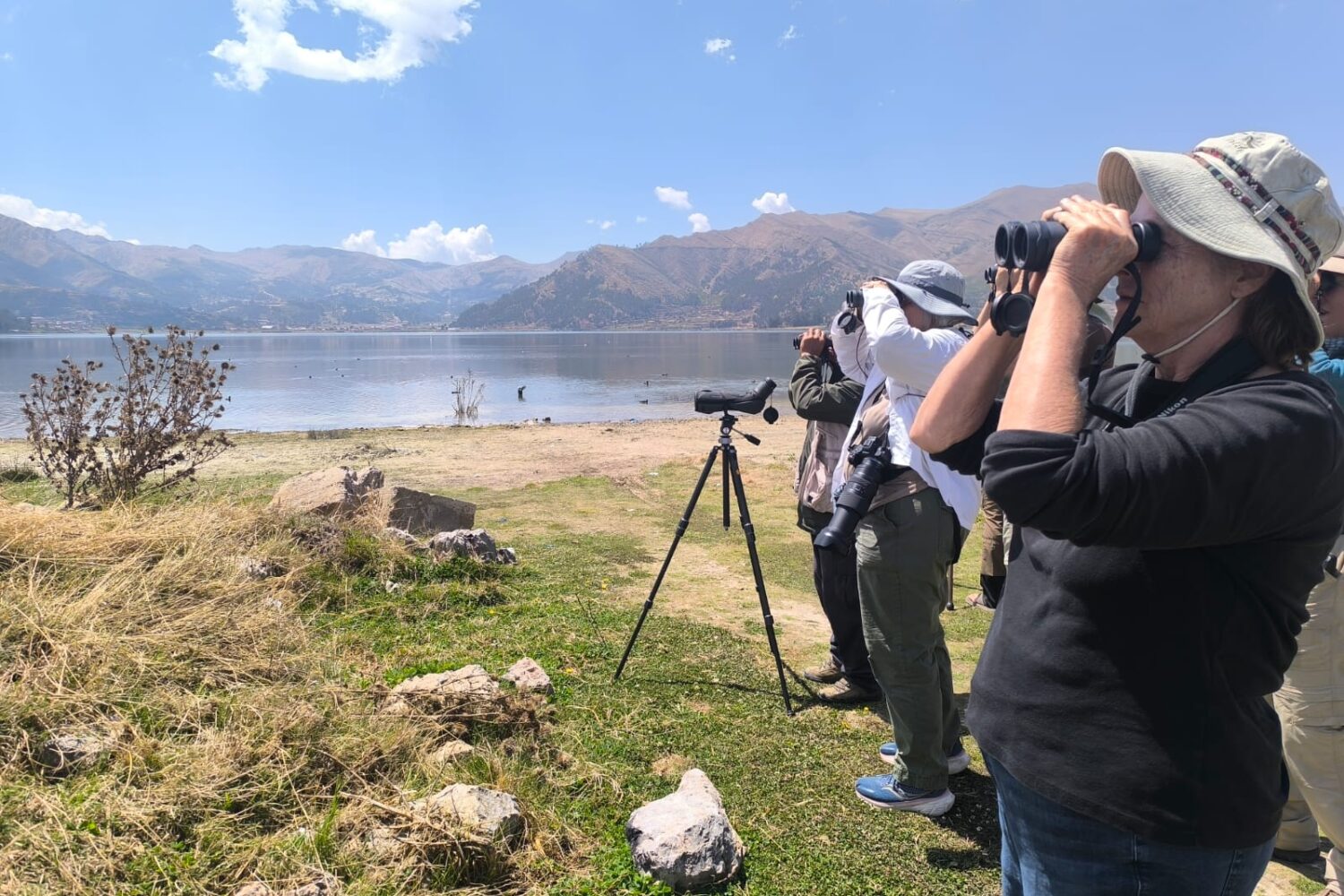 birdwatching in cusco