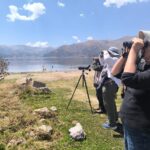 birdwatching in cusco