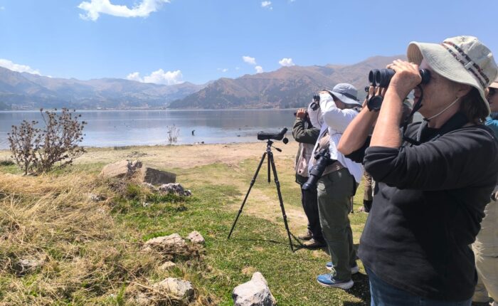 birdwatching in cusco