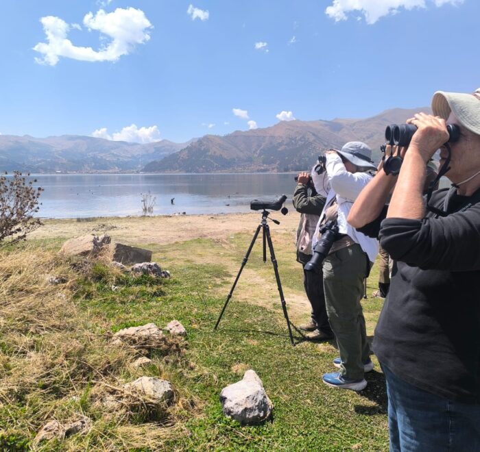 birdwatching in cusco