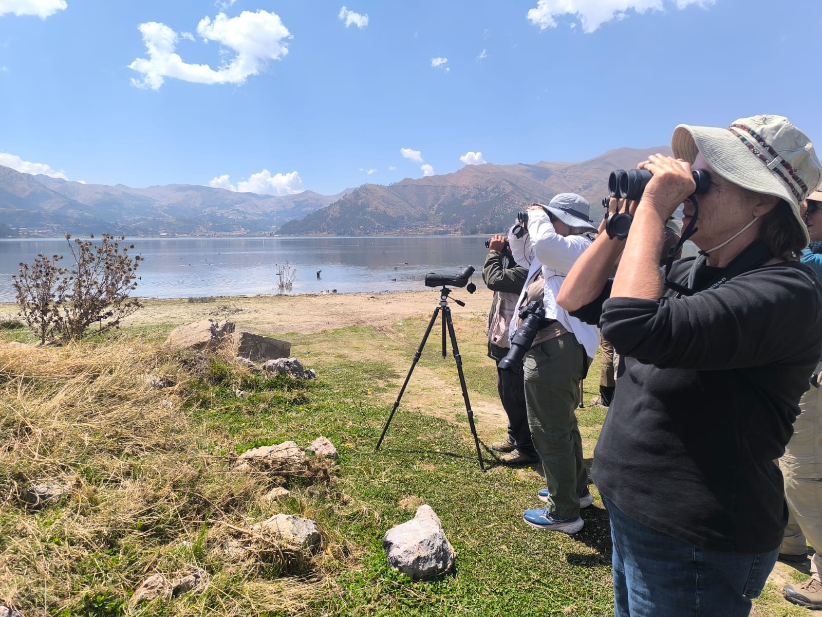 birdwatching in cusco