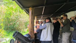 Endemic Birds of Peru