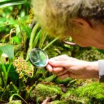 orchids-in-machu-picchu