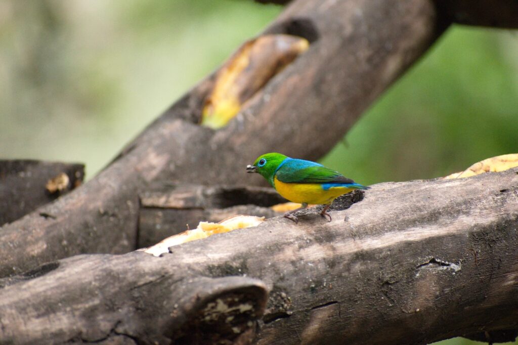 WhatsApp Image 2026-01-23 at 10.50.20 PM