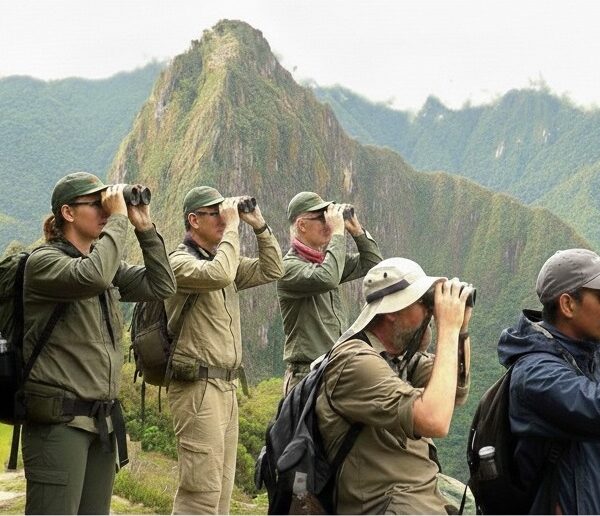 birdwatching in peru